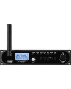 Module tuner FM RDS, radio internet DAB+ avec interface USB