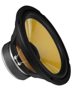 Haut-parleur grave 10", 100 W, 8 Ω, Hi-Fi