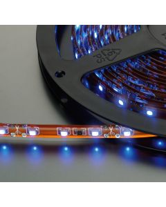 Flexible à LEDs, DC 12 V, bleu