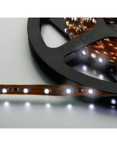 Flexible à LEDs, DC 12 V, blanc