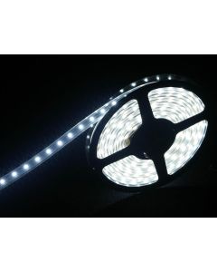 FLEX LED IP TUBE W /GAINE SILICONE