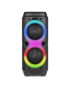 Karaoké enceinte 2 x 4", 100 W, batterie, BT, TWS, avec spectacle de lumières - Track210