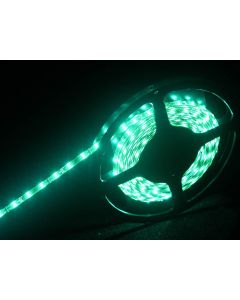 Flexible à LEDs&#44; 5 m&#44; 12 V&#44; IP&#44; vert